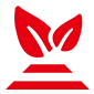 砂砾土壤